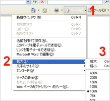 Internet Explorer 7 （画面全体を変更する）